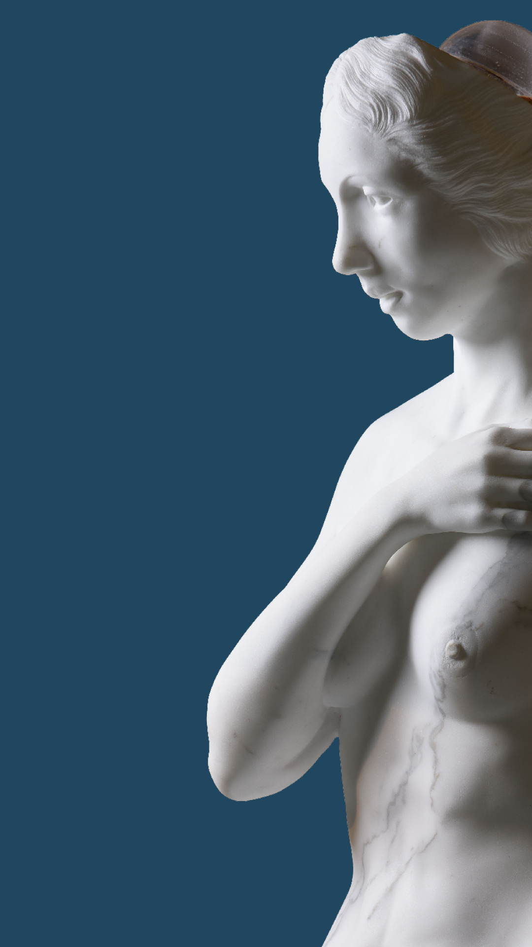 FEATURING THE SCULPTURE HABITAT